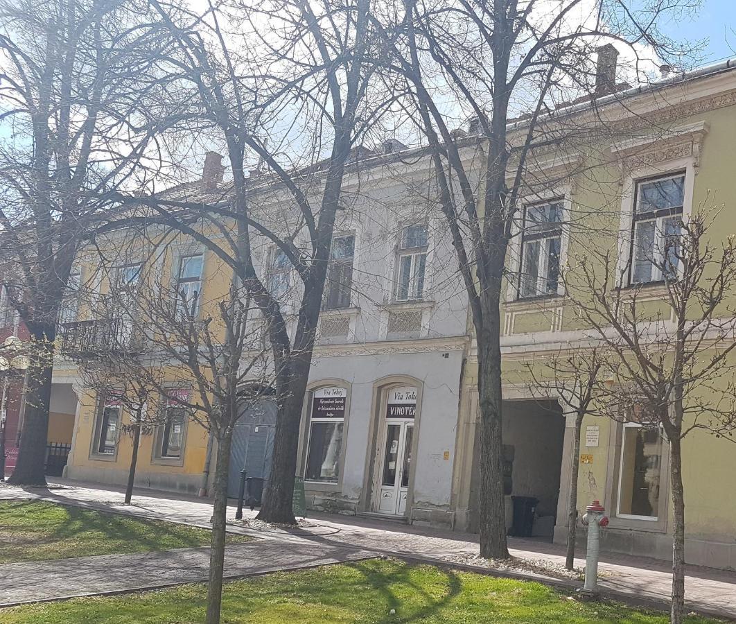 SátoraljaújhelyVia Tokaj Vendeghazアパートメント エクステリア 写真
