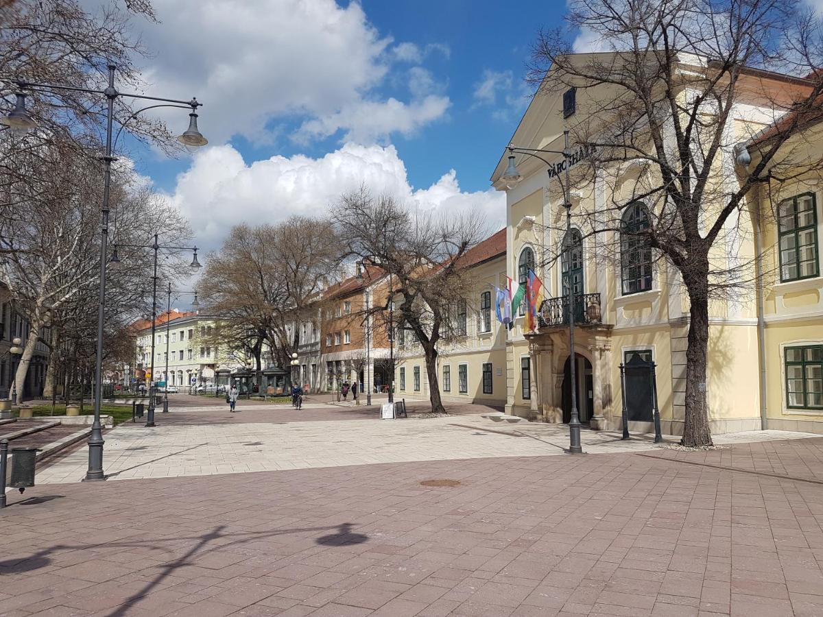 SátoraljaújhelyVia Tokaj Vendeghazアパートメント エクステリア 写真
