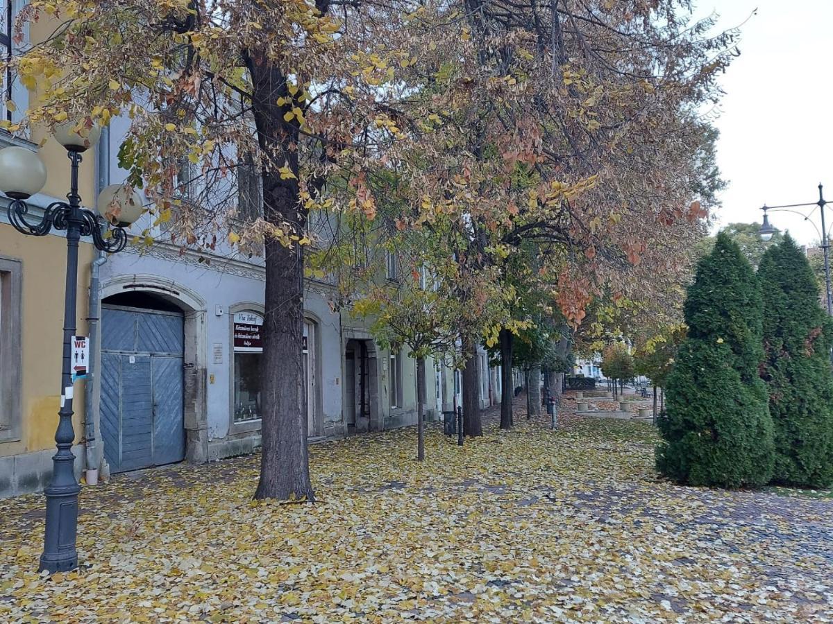 SátoraljaújhelyVia Tokaj Vendeghazアパートメント エクステリア 写真