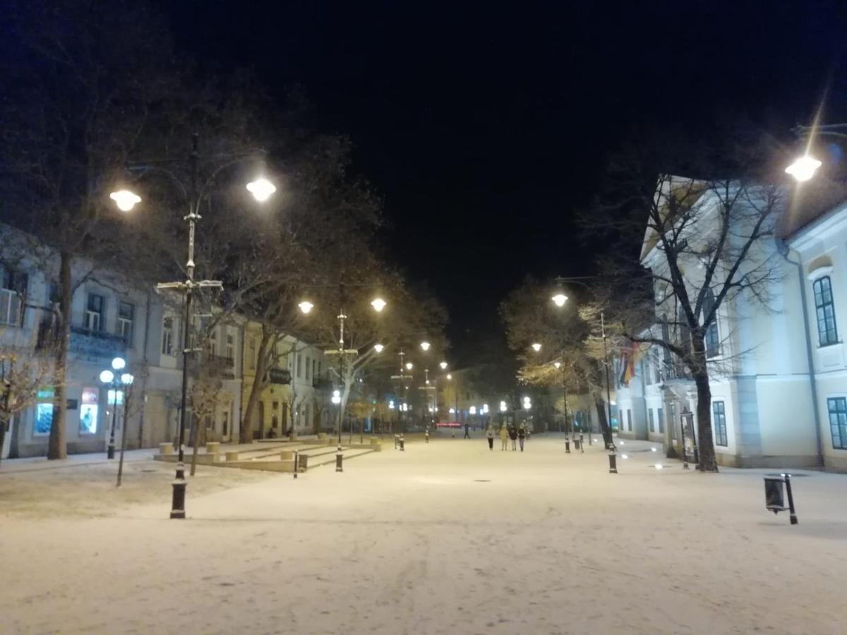 SátoraljaújhelyVia Tokaj Vendeghazアパートメント エクステリア 写真