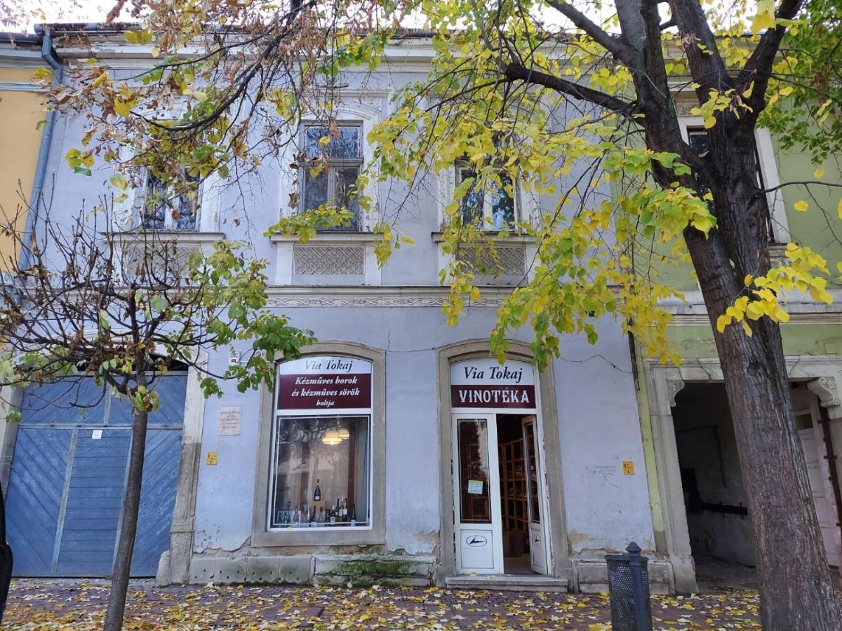 SátoraljaújhelyVia Tokaj Vendeghazアパートメント エクステリア 写真