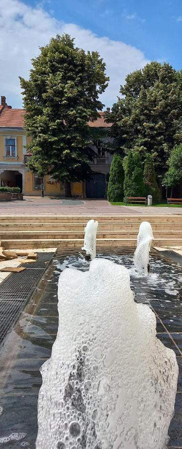 SátoraljaújhelyVia Tokaj Vendeghazアパートメント エクステリア 写真