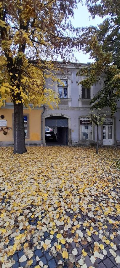 SátoraljaújhelyVia Tokaj Vendeghazアパートメント エクステリア 写真